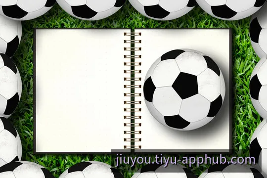 九游客户端界面预览与全终端访问导航